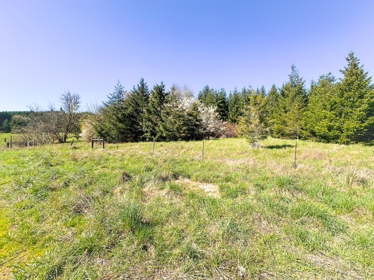 HARRIS FARM & FOREST