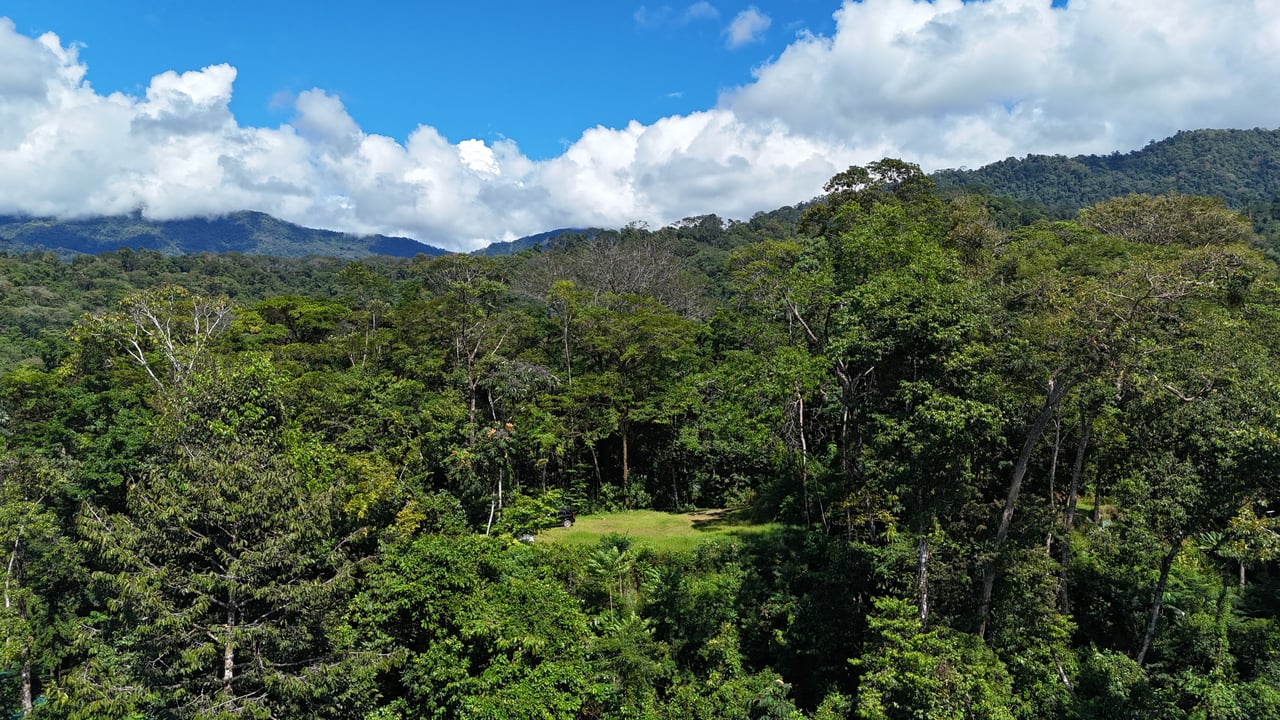 1.7 Acres Ocean View Lot with Producing Cabin in Uvita