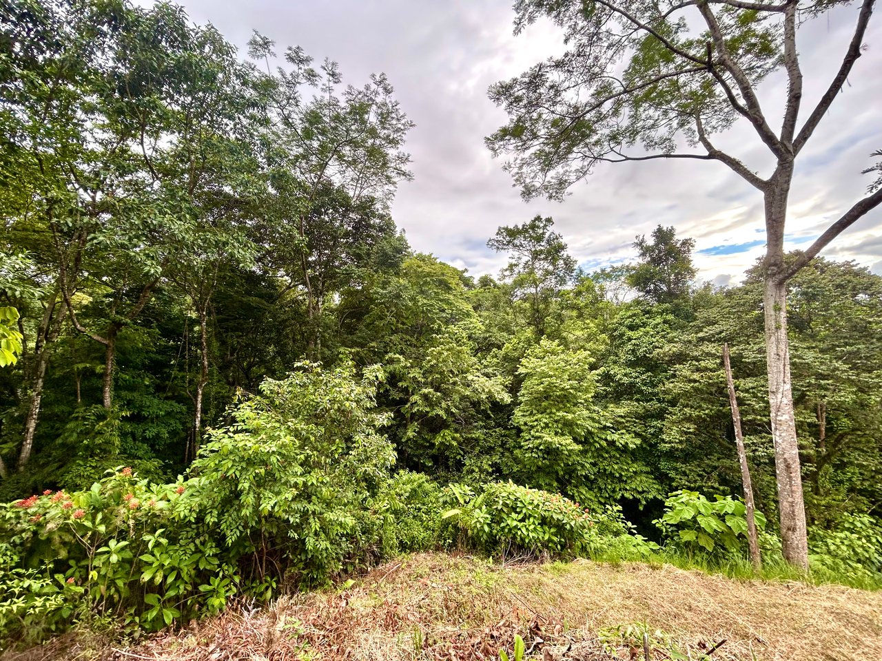 Beautiful Lot in Phase 9 Ojochal, Gated Communuity - NOW WITH LEGAL WATER