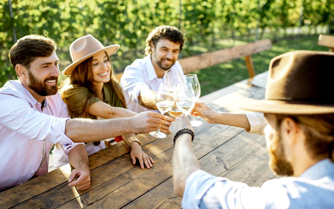 Friends clink wine glasses around a wooden outdoor table in a leafy garden.