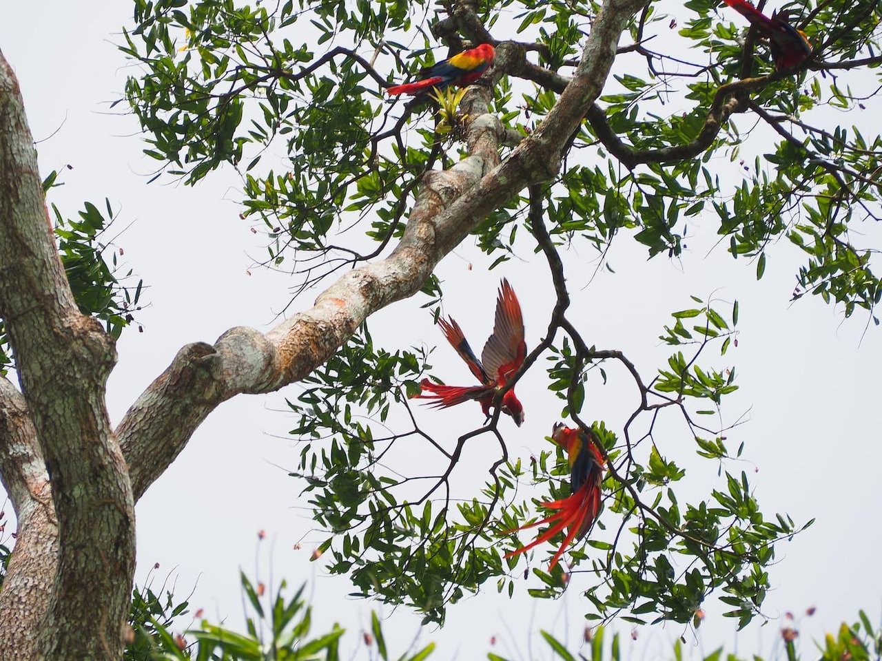 Eco Property Media Luna