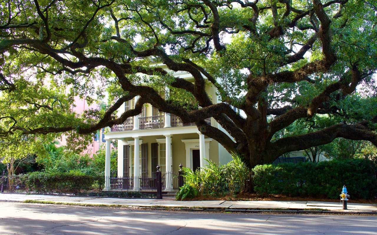 Garden District