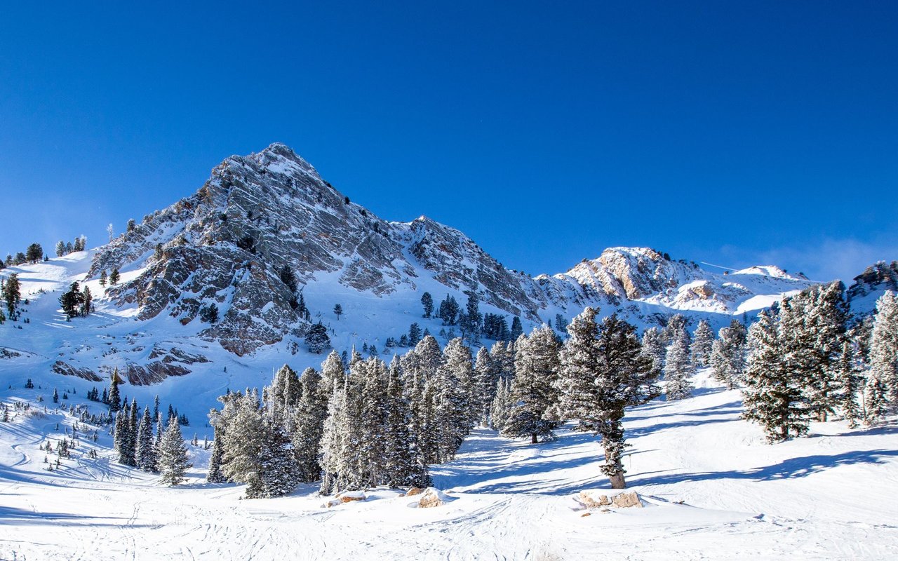 Powder Mountain/Snow Basin