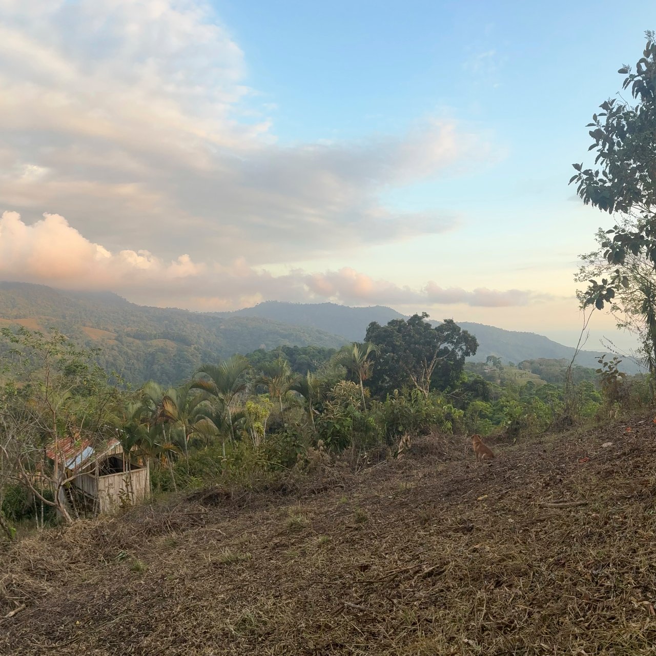 Ocean & Mountain View Lot with Multiple Building Sites-20 Minutes from Uvita