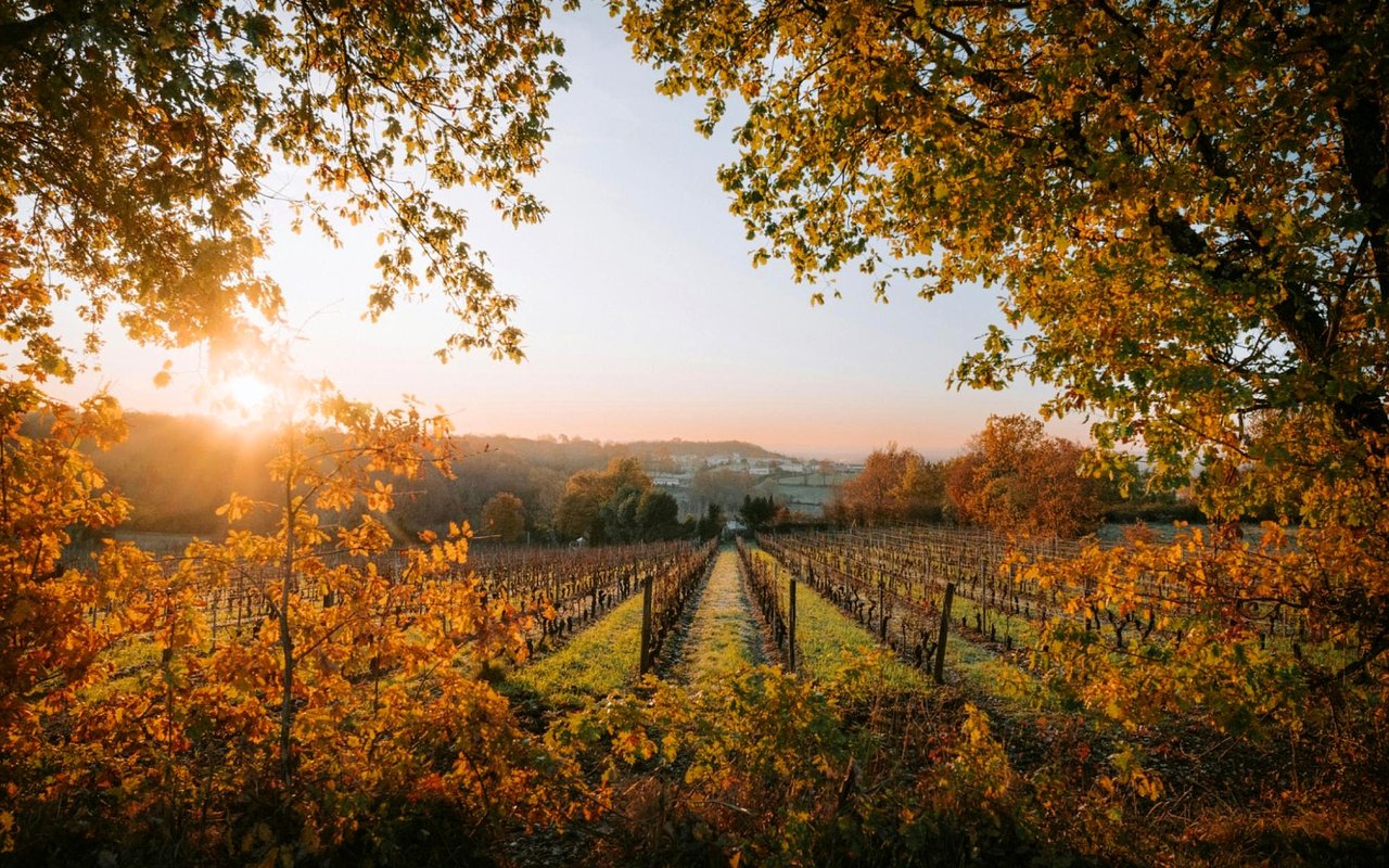 Weekend Trips from Richland Chambers Lake