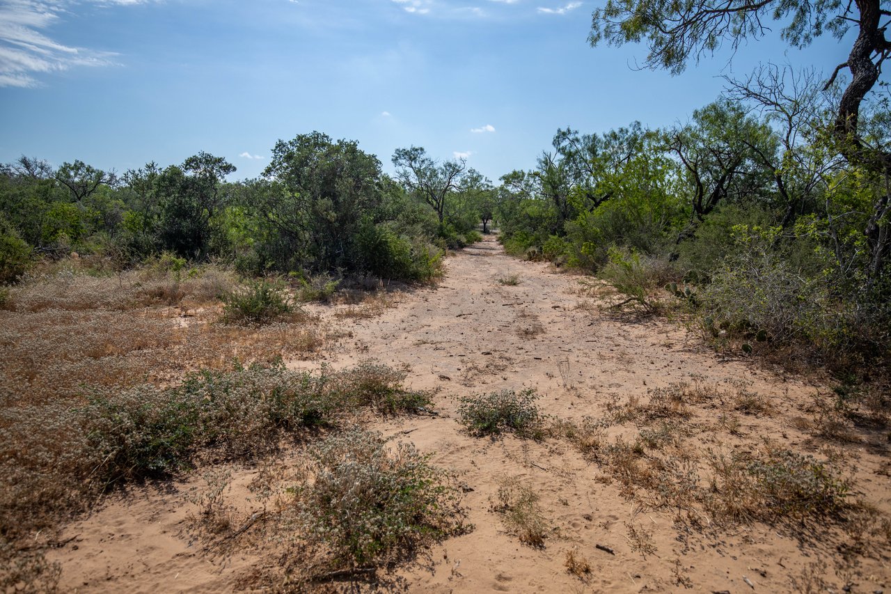 Oaks, Wildlife, & the Quiet of the Countryside | 26.99± Acres | Poteet, TX