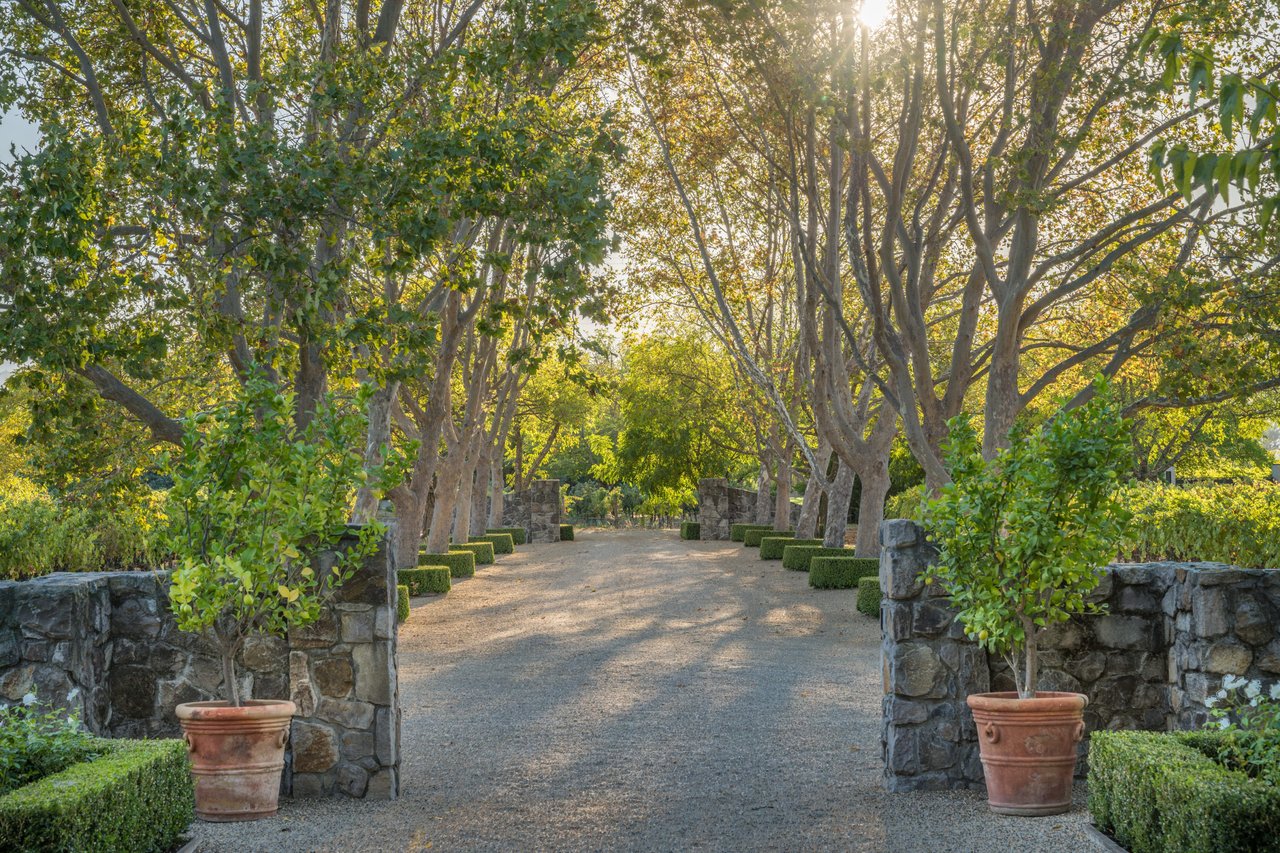 Napa Valley Lux Estate, Rutherford