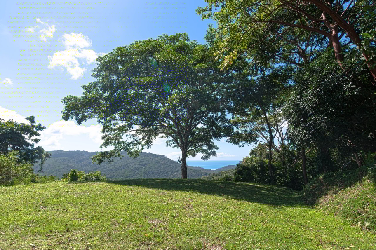 A Rare Thermal-Wellness Development Opportunity - Cacao Estates