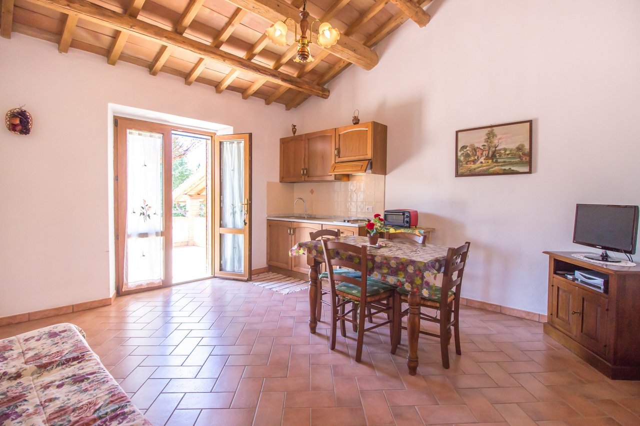 Organic Agriturismo in Cinigiano