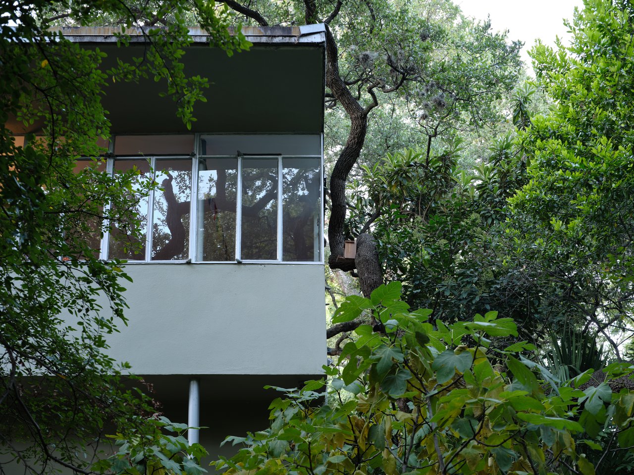 The Perch - Rare International style Architecture in Austin 