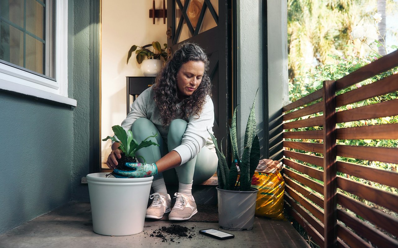 How to Start an Indoor Food Garden (for Beginners)