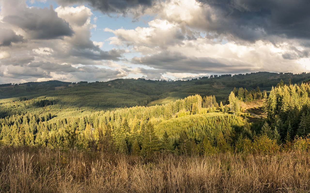 Brush Prairie