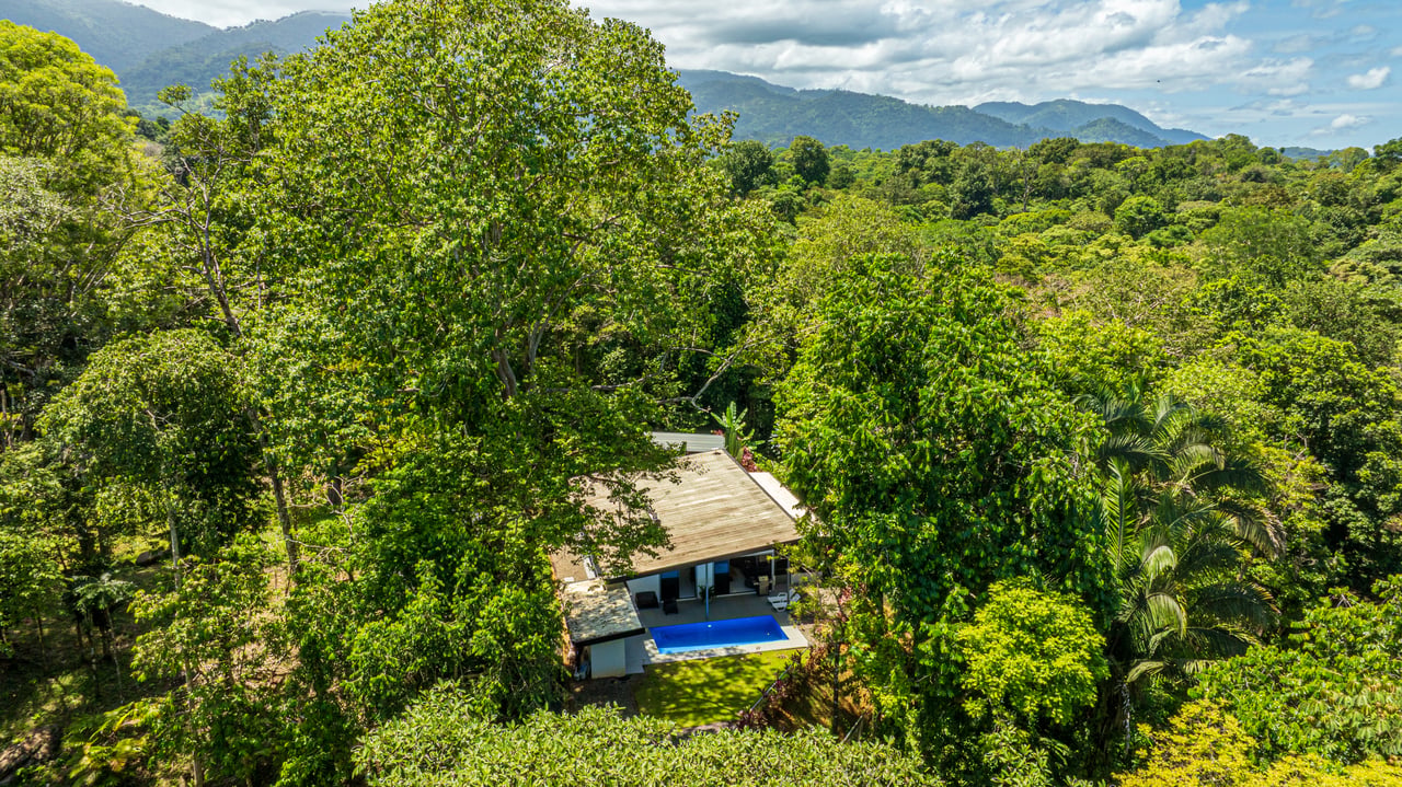 Cinco Ventanas Jungle Life Redefined