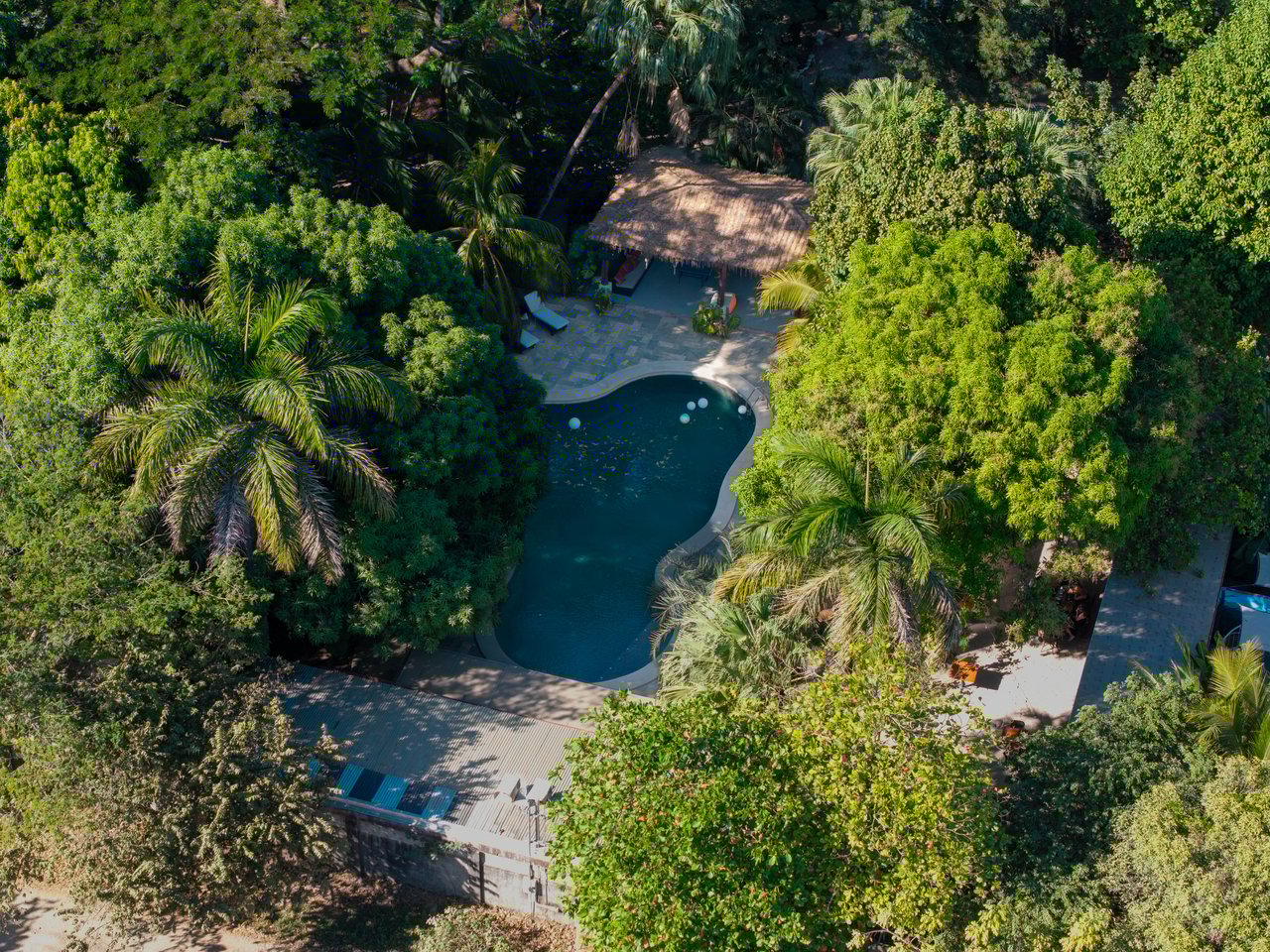 Hotel Curiol | Turnkey Boutique Jungle Hotel with Restaurant & Bar in Potrero