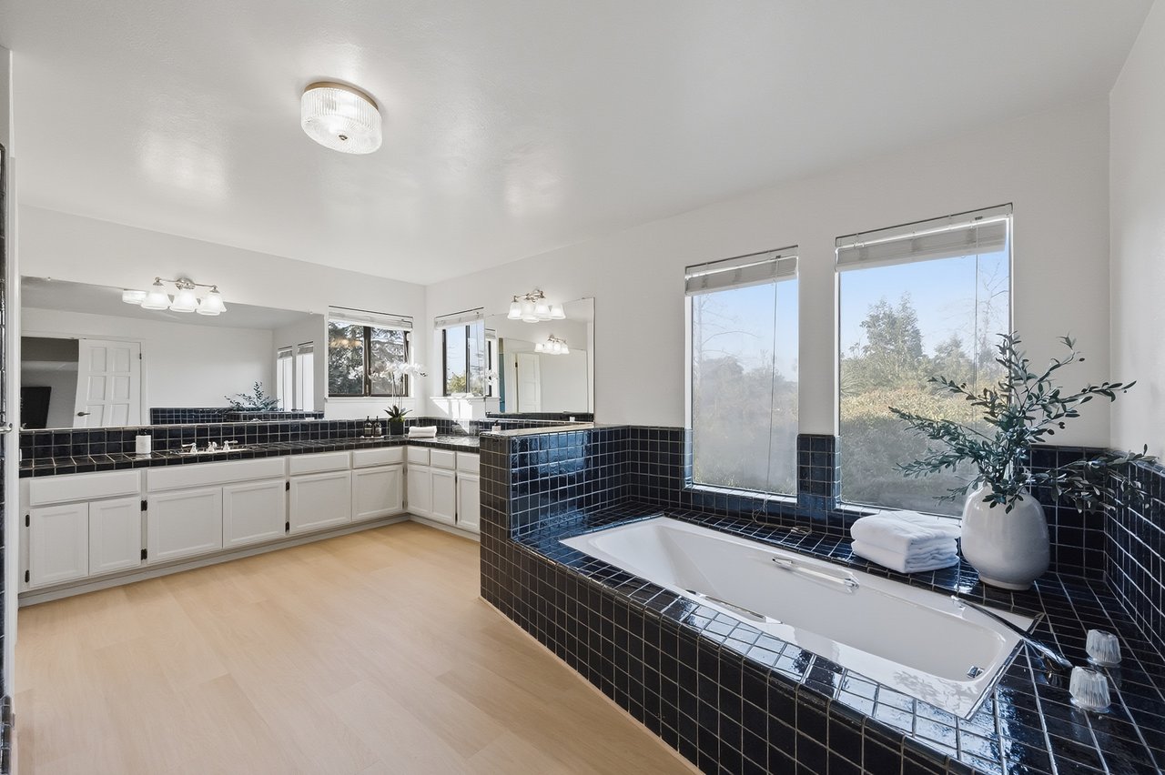 13918 Mir Mirou Drive