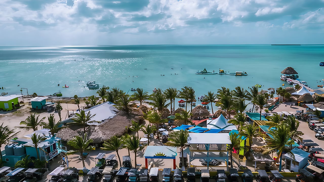 View of palm trees, beach, water park