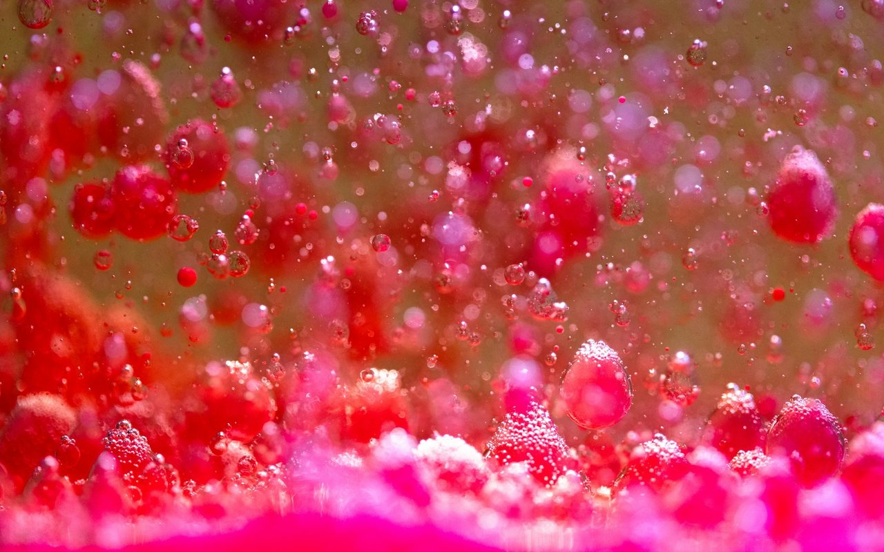 Bubbly Rosé Sangria Bliss – A Summer Sip for Open Houses