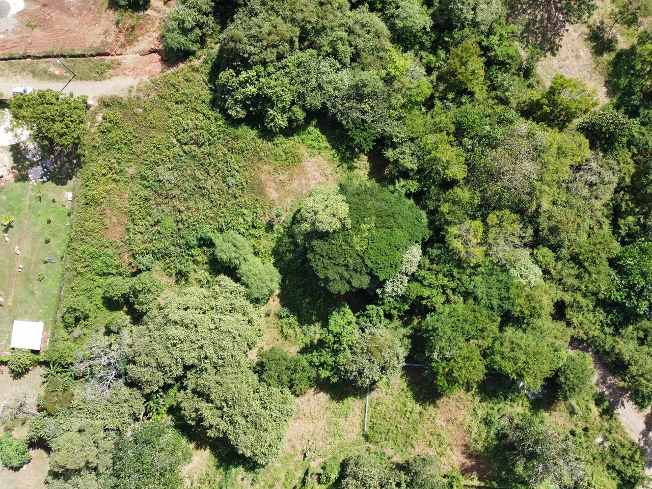 Private Jungle Estate Land in Vistas de Flamingo, Guanacaste, Costa Rica