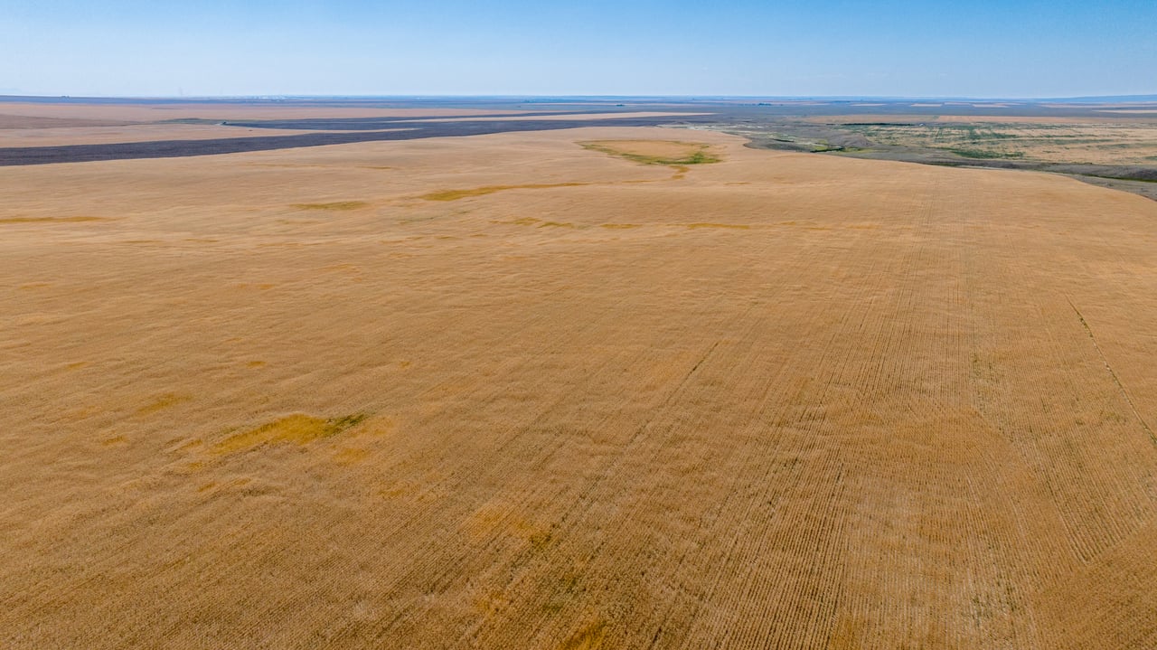 Hill County Organic & CRP Farm