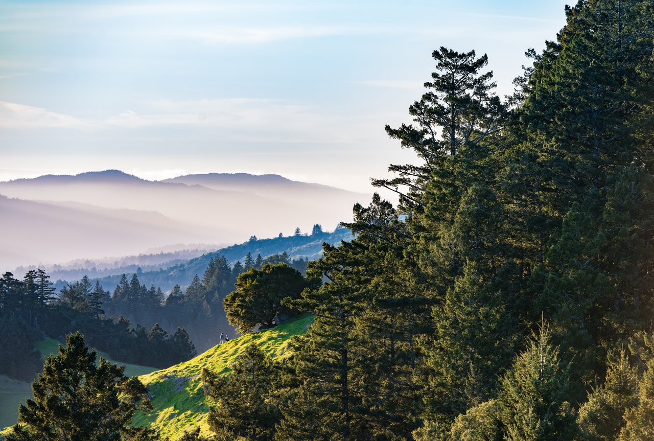 Mill Valley