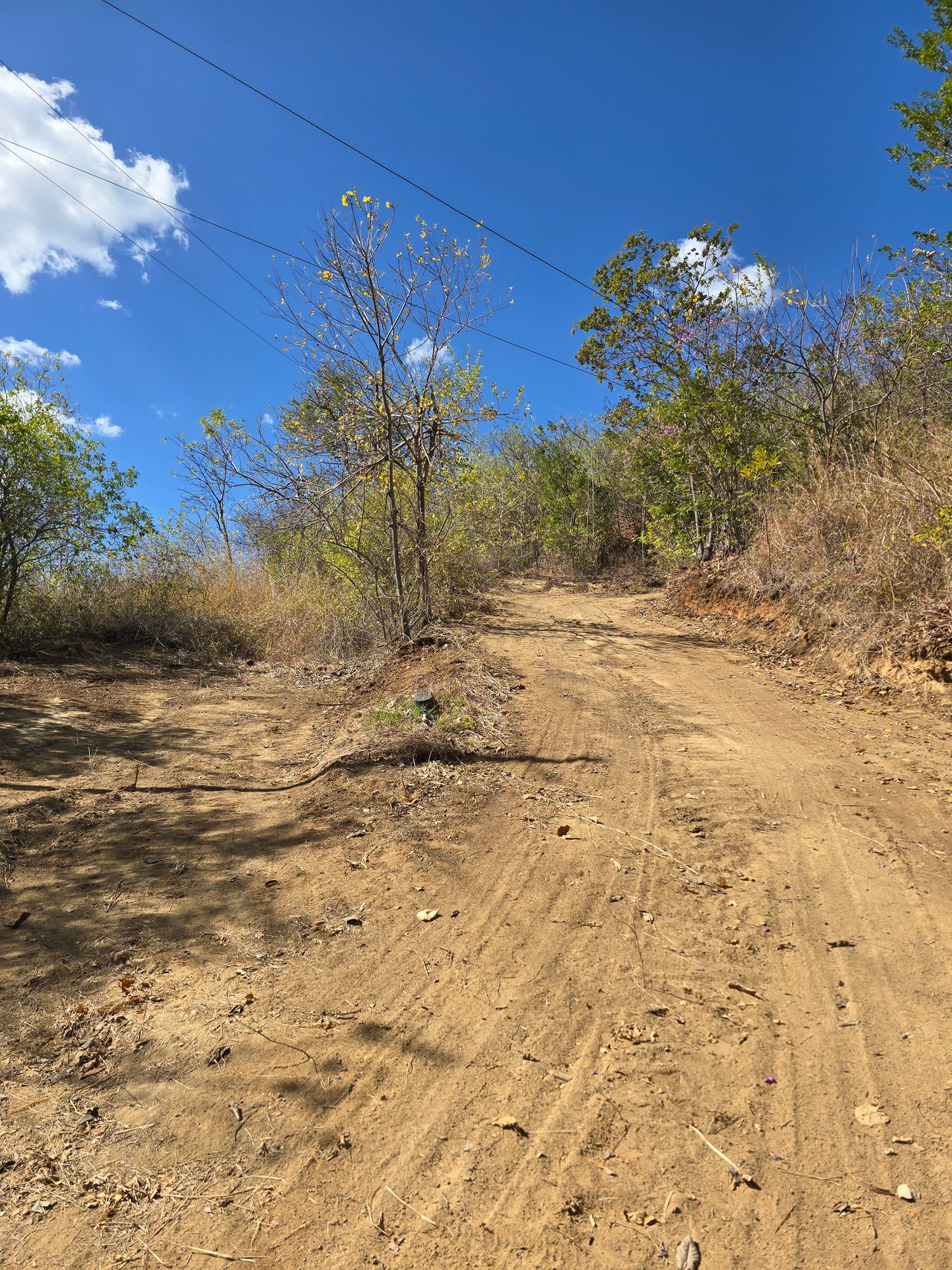 Vista Miramar Estate Lot, Pacific Heights
