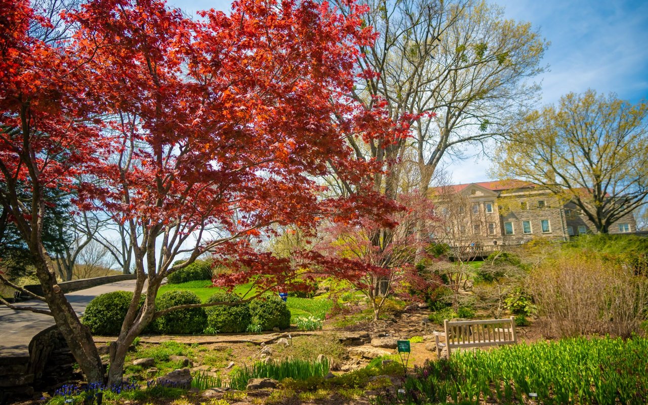 Belle Meade