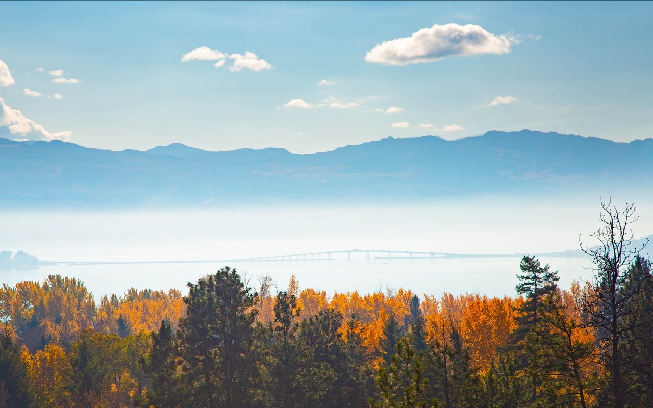 The Kelowna Rennie Advance | November 2025