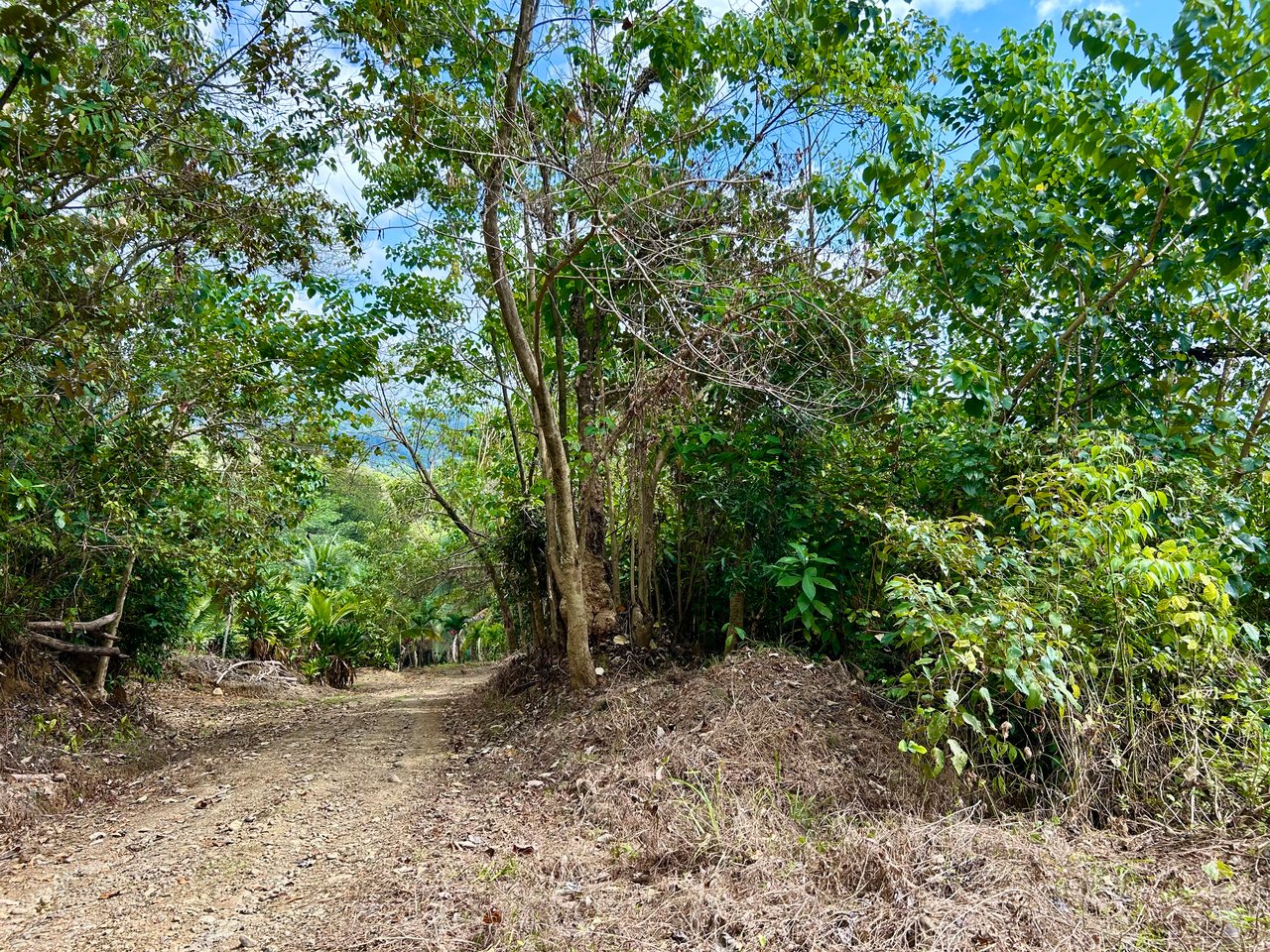 Ocean View Lot in San Buenas, Only $90K & Ready To Build