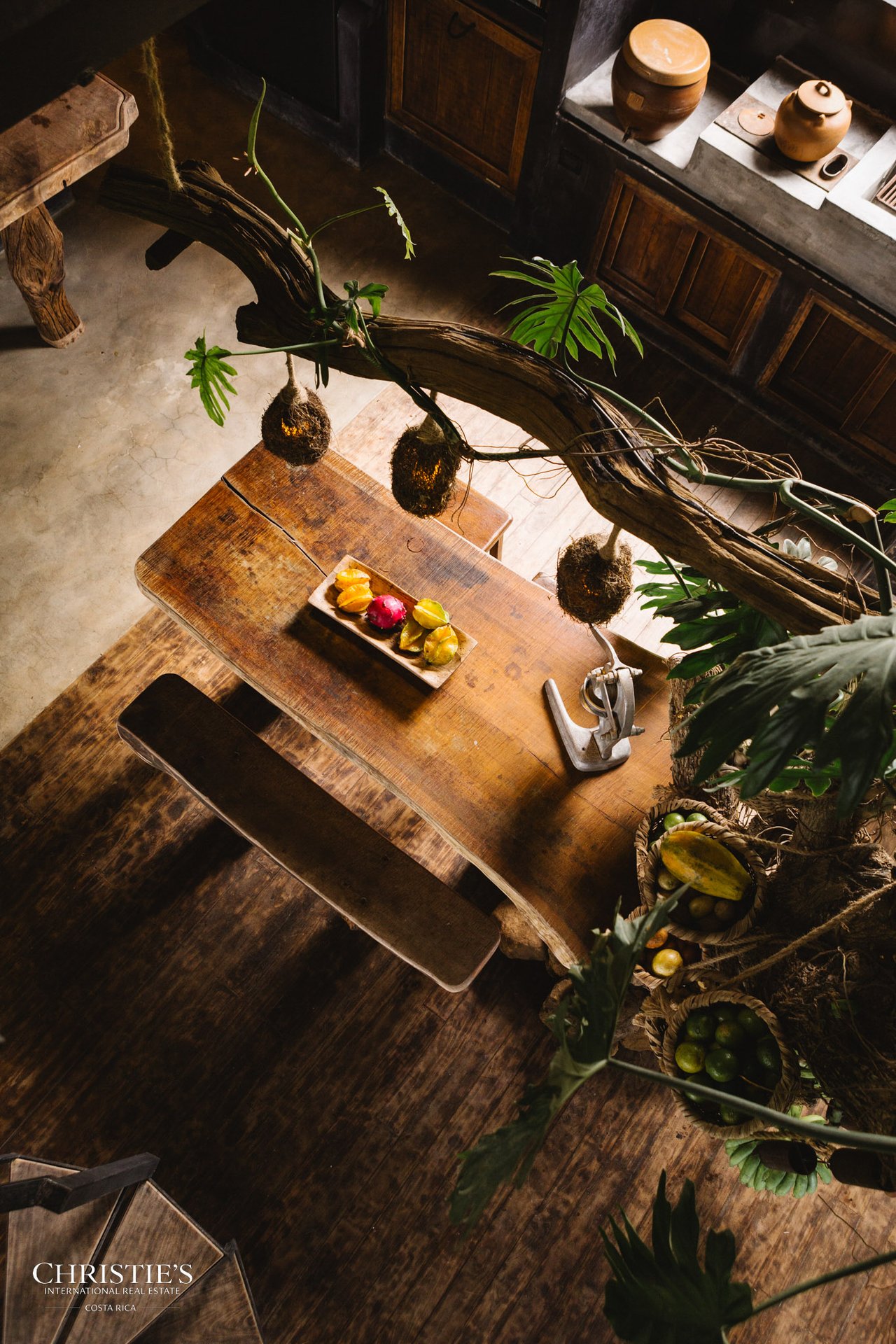 Villa Animales – Luxury Jungle Sanctuary