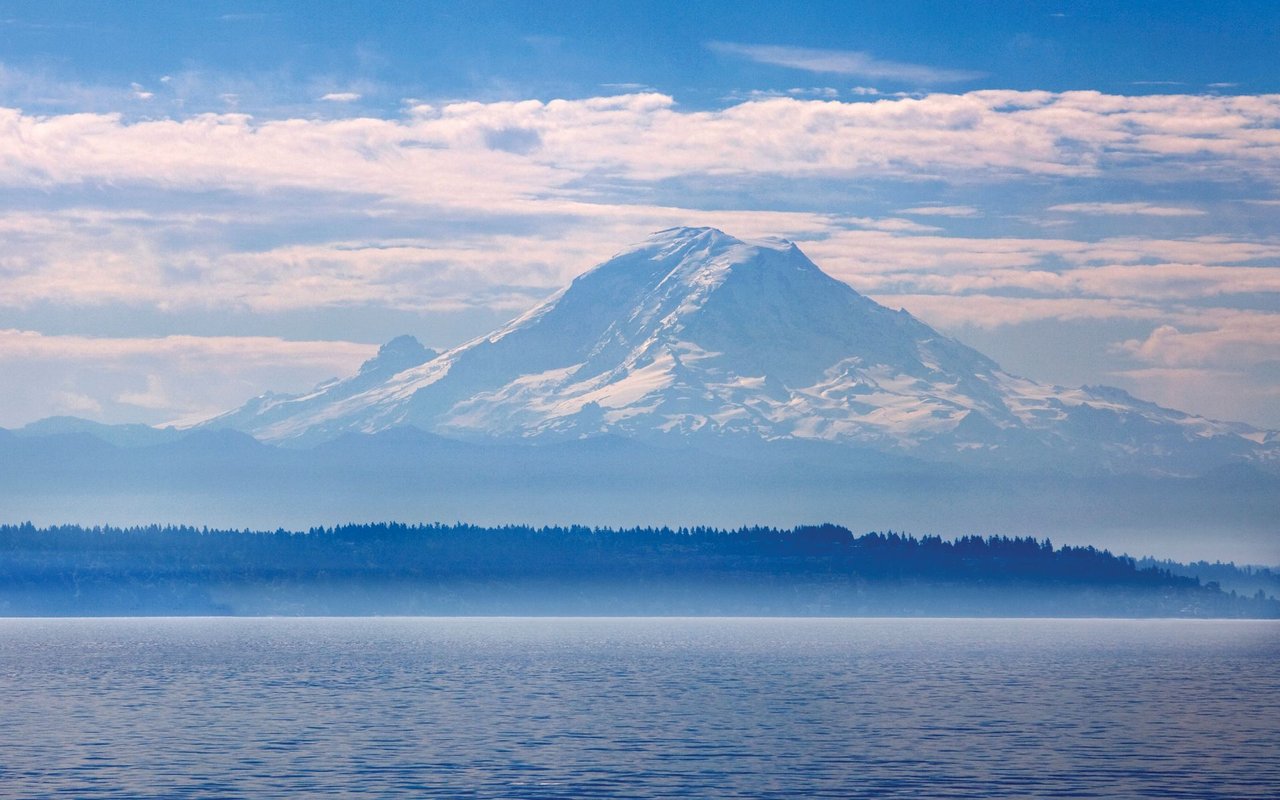 the seattle rennie advance | January 2026