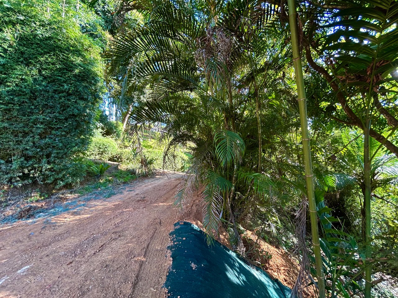 Great Opportunity Well-Located Lot in Playa Hermosa