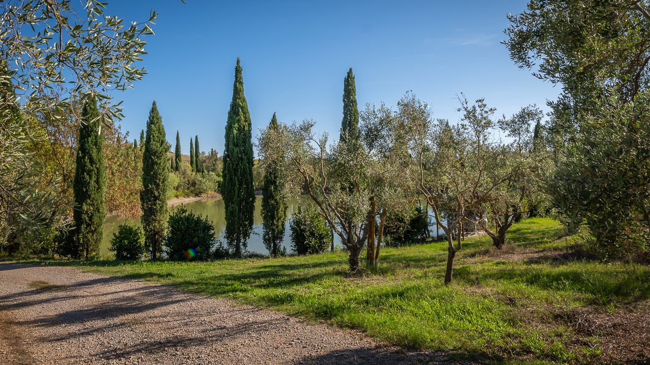 IL LEONE DEL FIORA