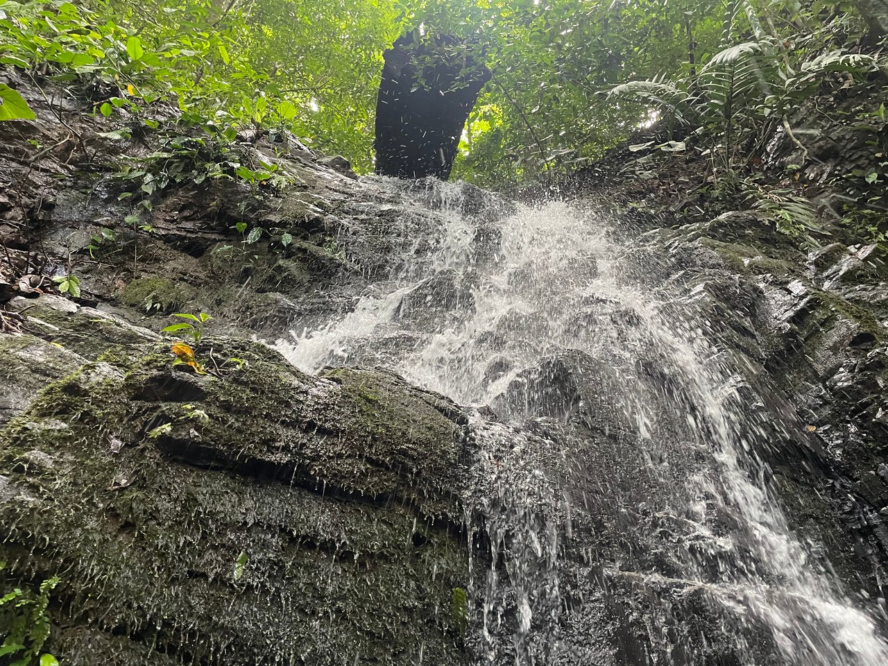 TROPICAL MASTERPIECE – 61.78 ACRES OF OCEANVIEW BLISS WITH WATERFALL