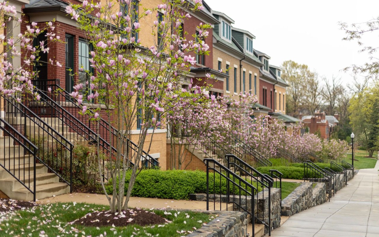 Georgetown
