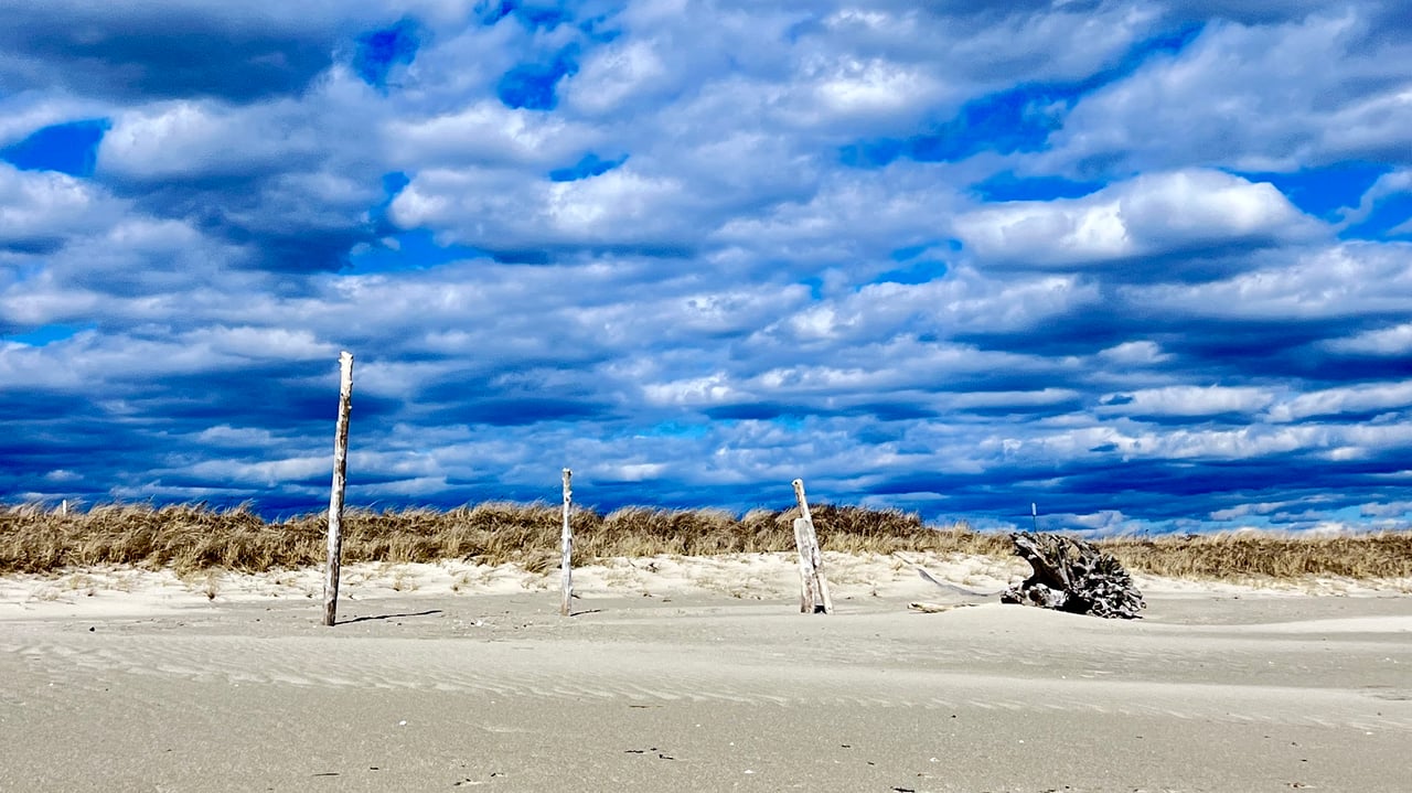 More Homes Are Coming to Market - But Buyers Still Need To Be Ready cover