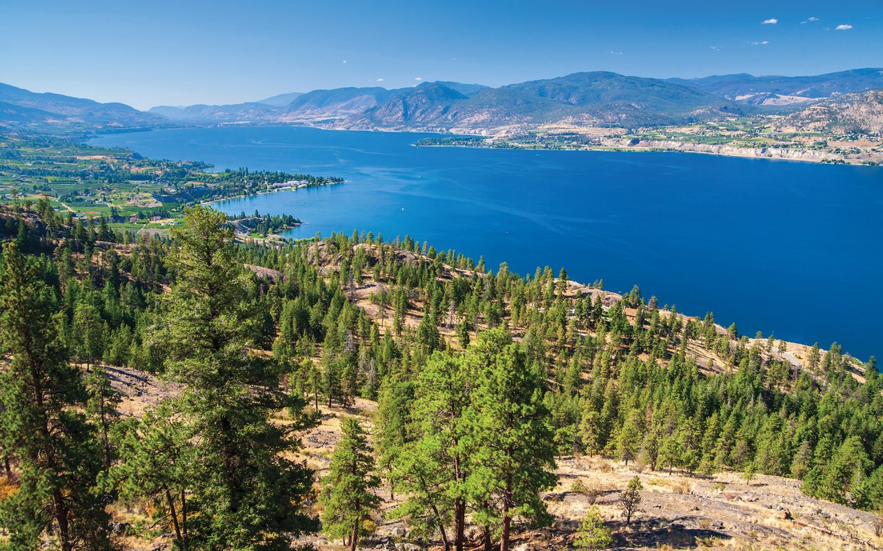 the kelowna rennie advance | June 2026