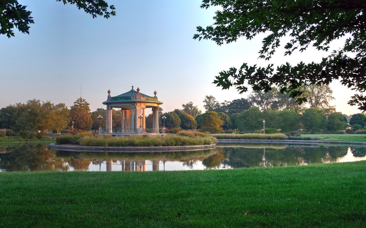 contact-form-background