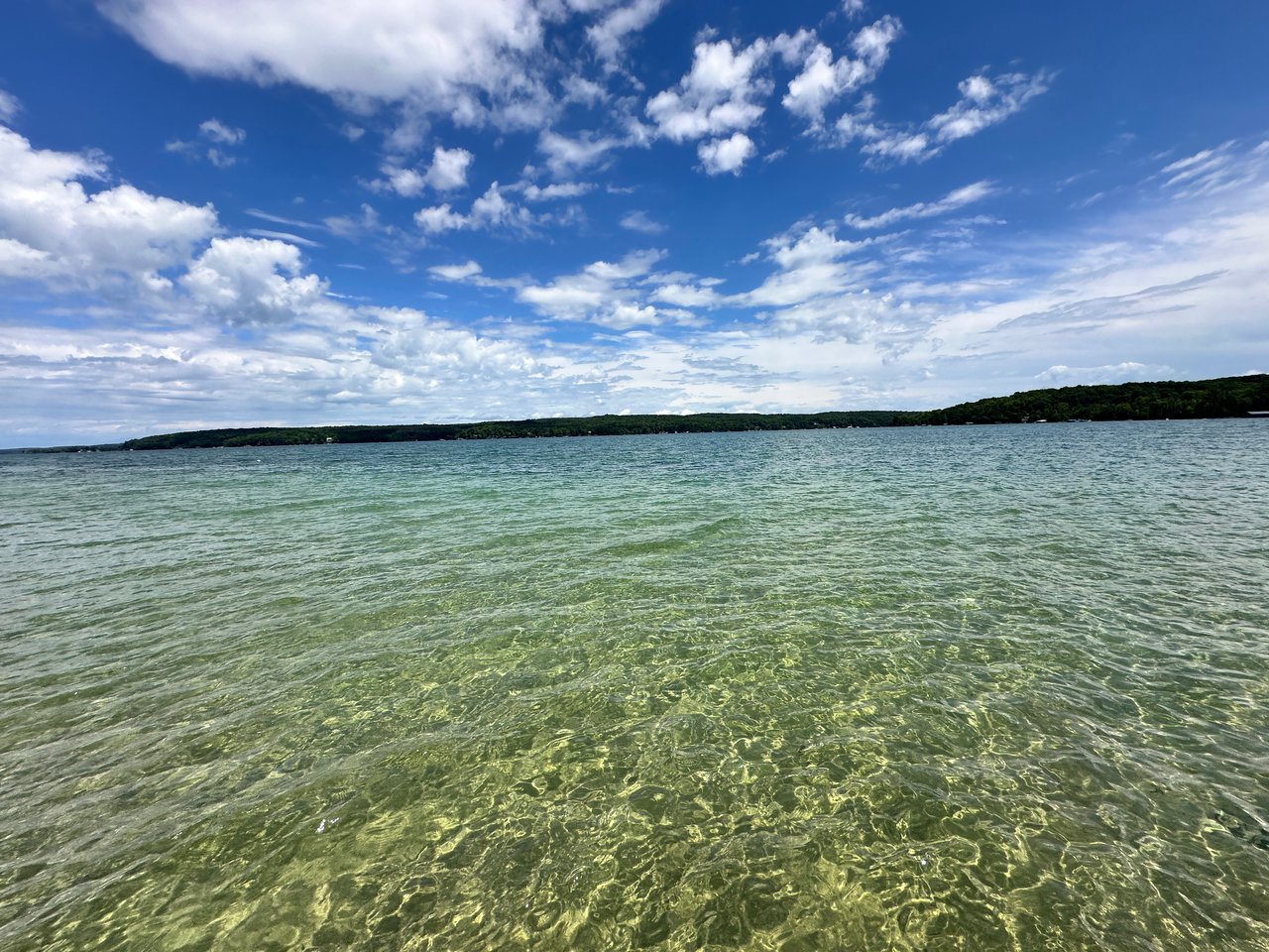 Forest Ave, Walloon Lake