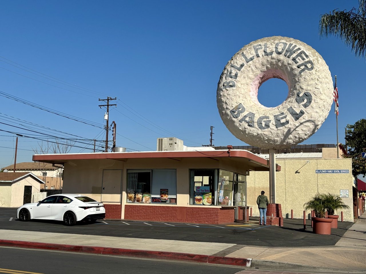 Bellflower