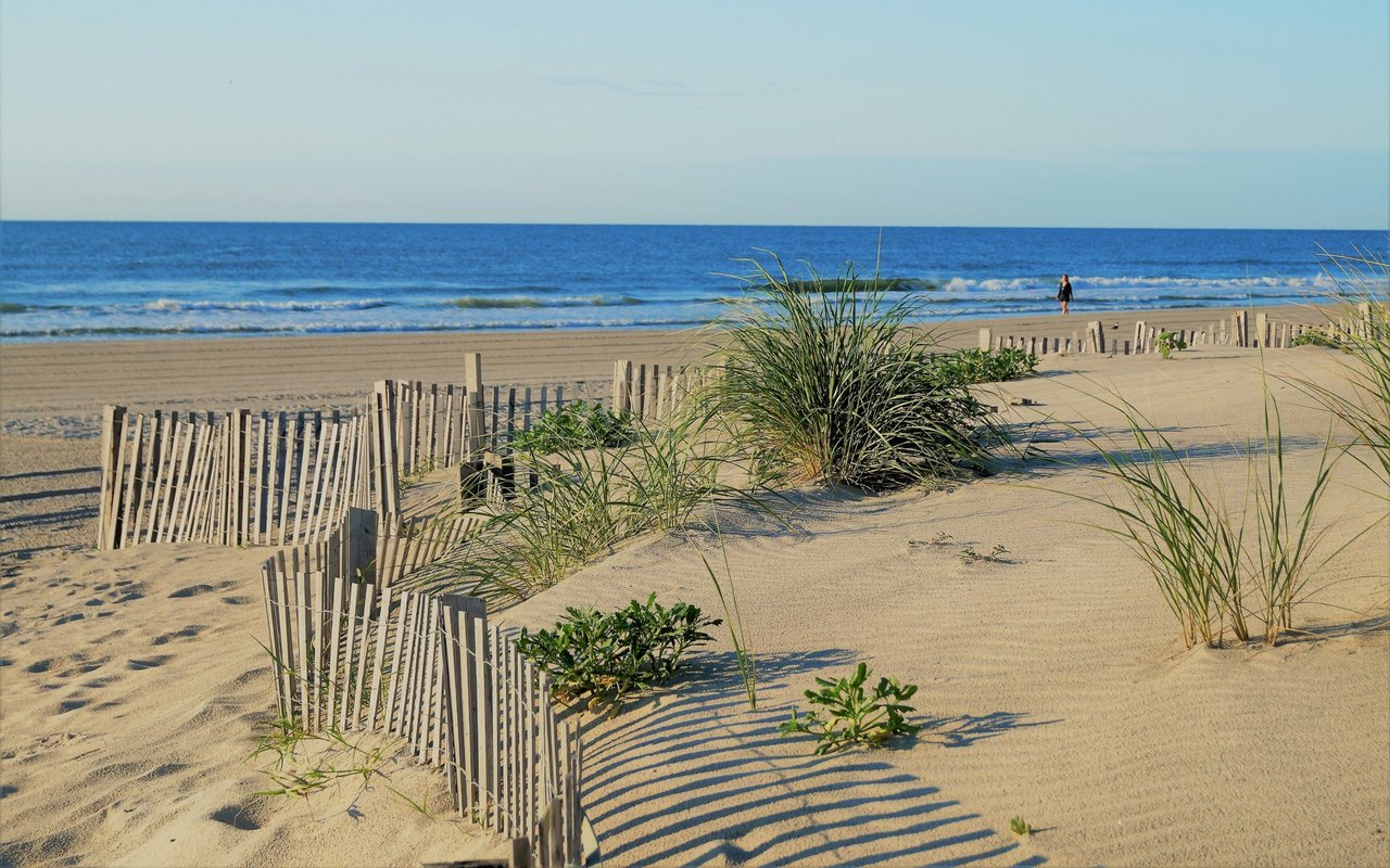Stone Harbor