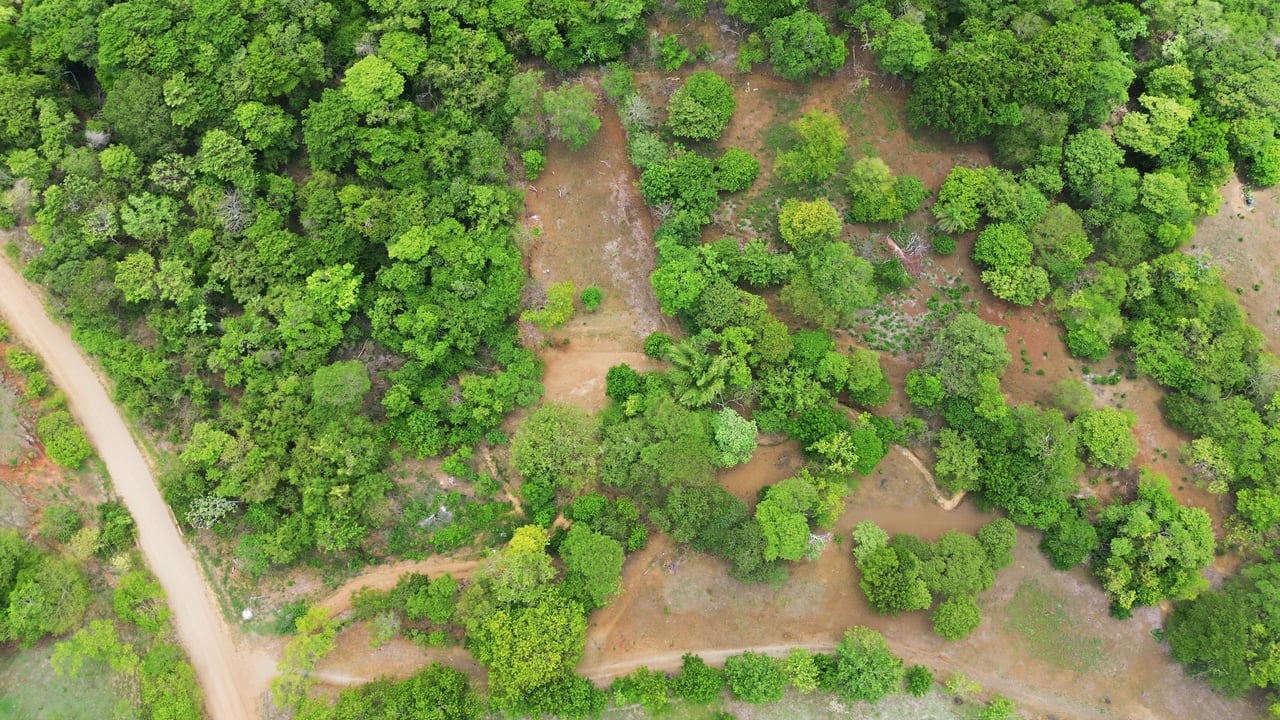 3.4 Acres of Quiet Country Living | 12 minutes from the Beach - Tempate 