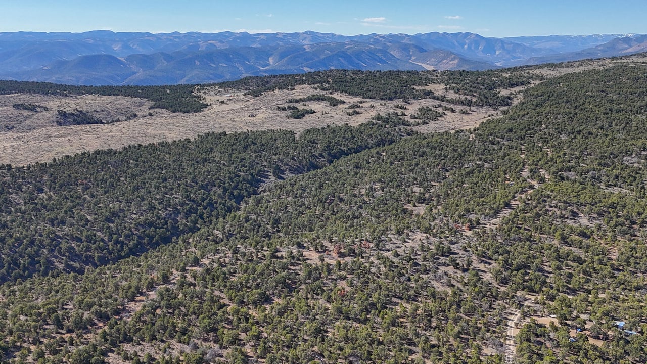 1 W Elk Meadows