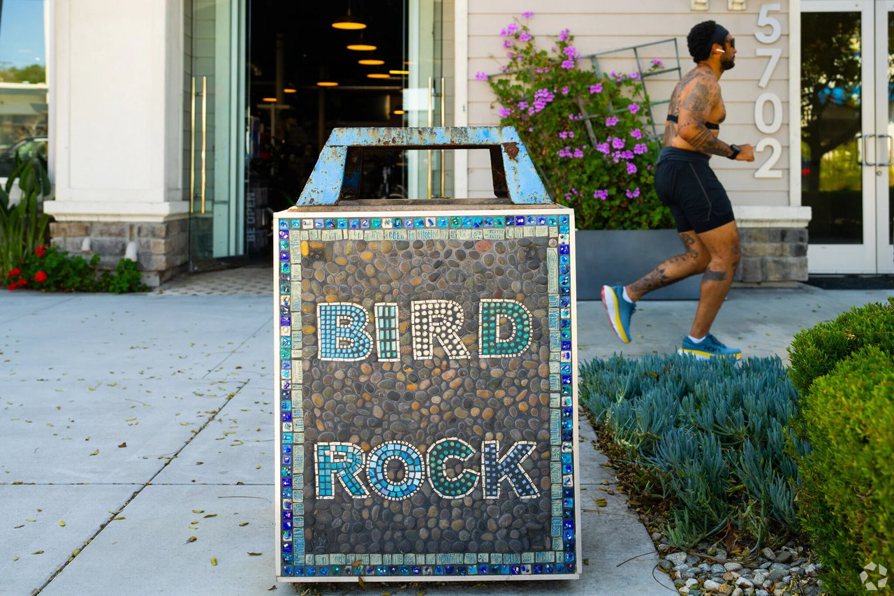 Bird Rock