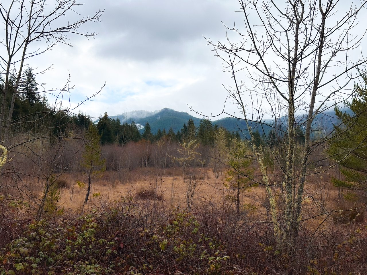 Coast Fork Woodland Meadows