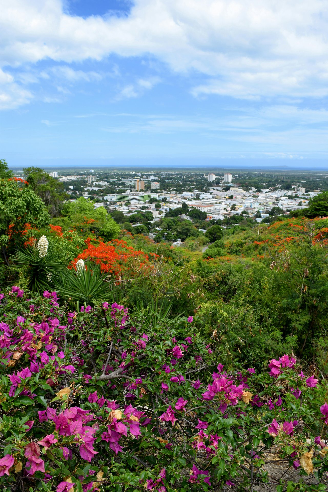 Ponce