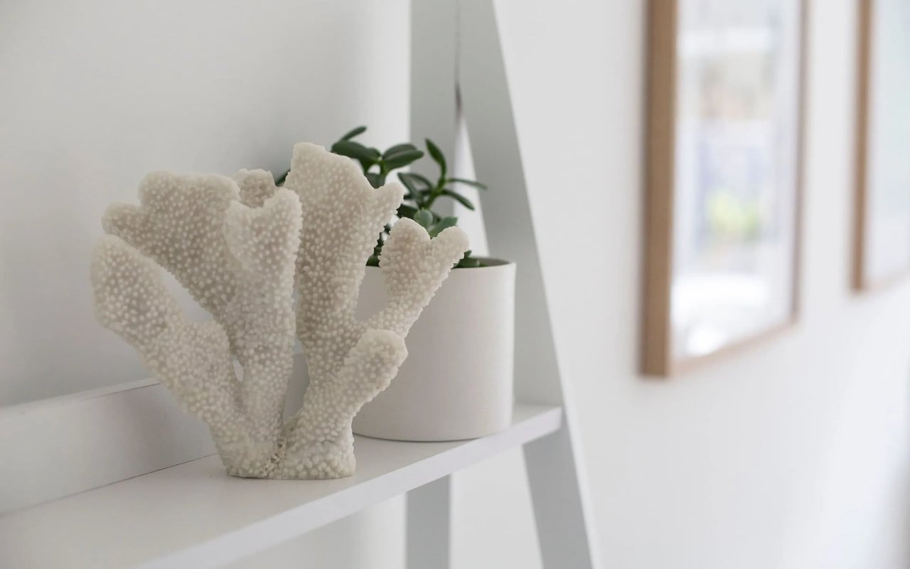 5 Clever Ways To Maximize Your Closet Space and Keep It Organized