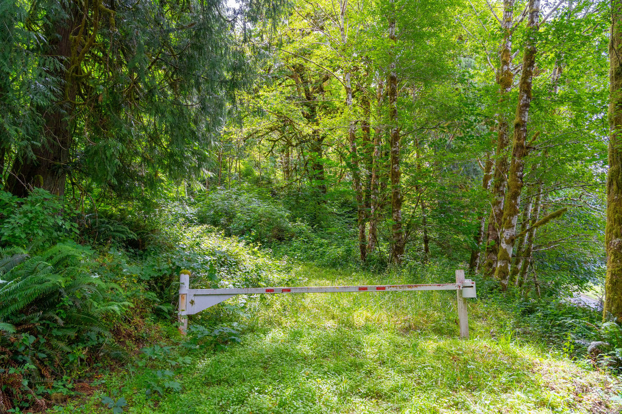 MILL CREEK FOREST