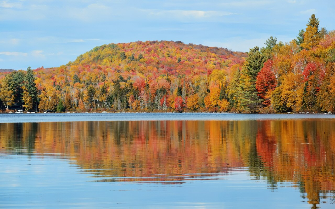 Burt Lake