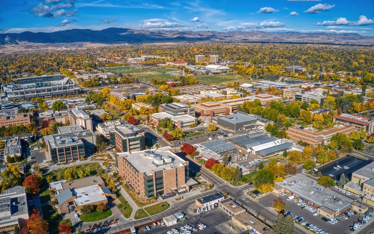 University