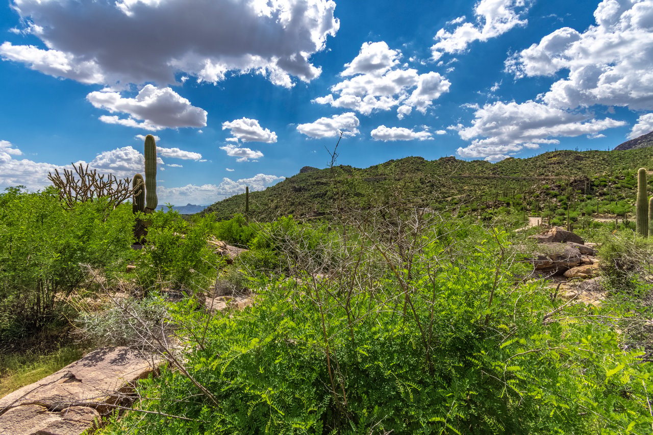 Lot #68: Elevated Living Above the Canyon Floor